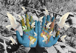 promise of peace