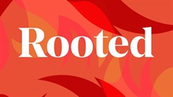 rooted pod landscape banner