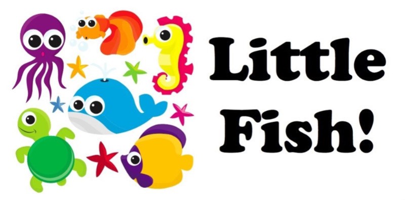 Little Fish Banner