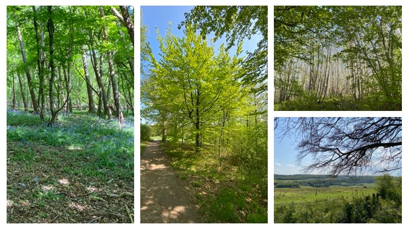 ranscombe
